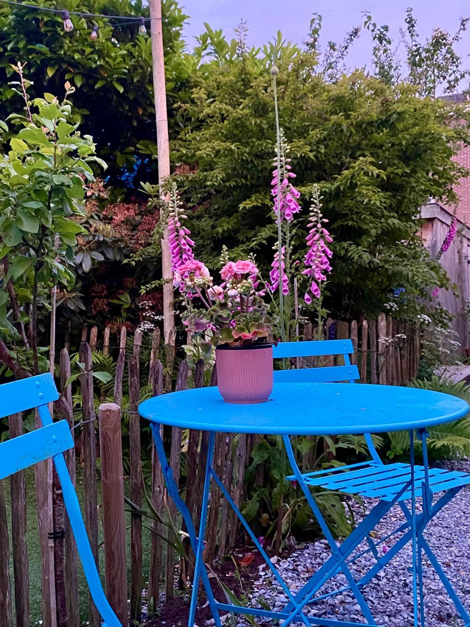 In De Aap - Appartementen & Guesthouse Берген Екстериор снимка